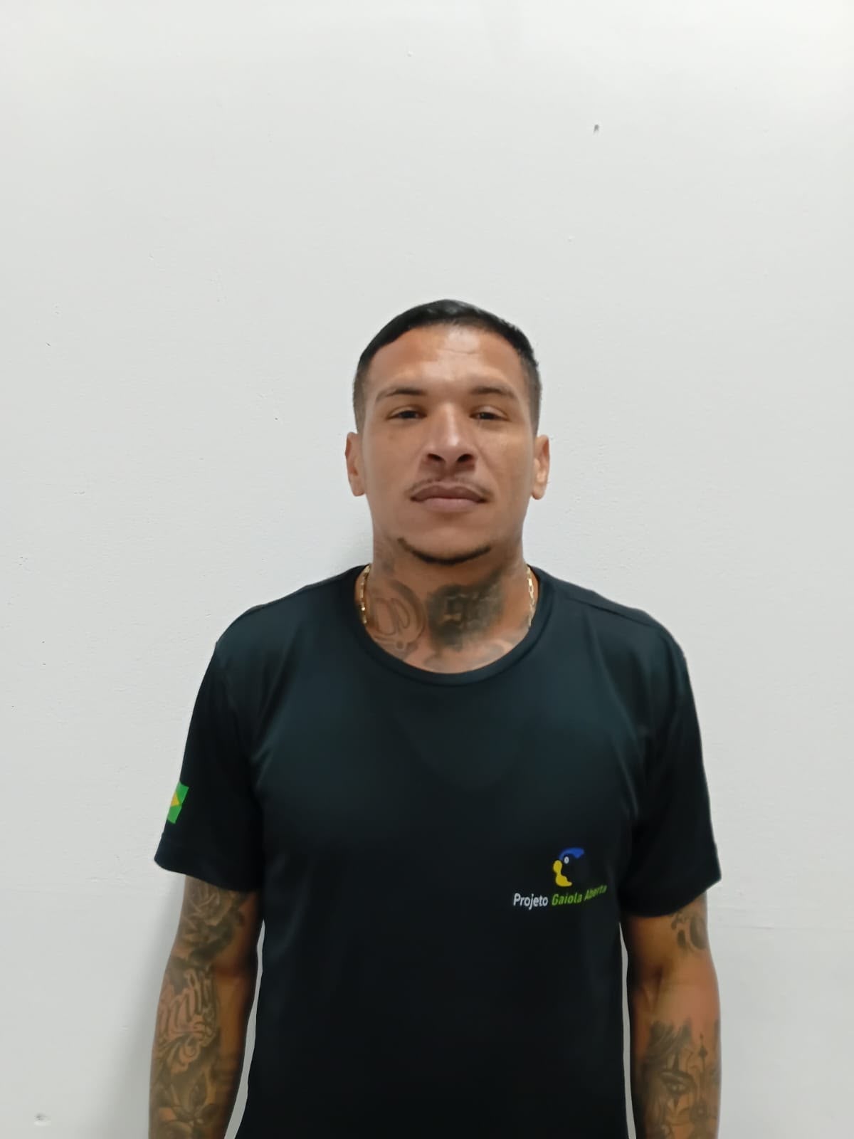 DAVID ALVES PEREIRA