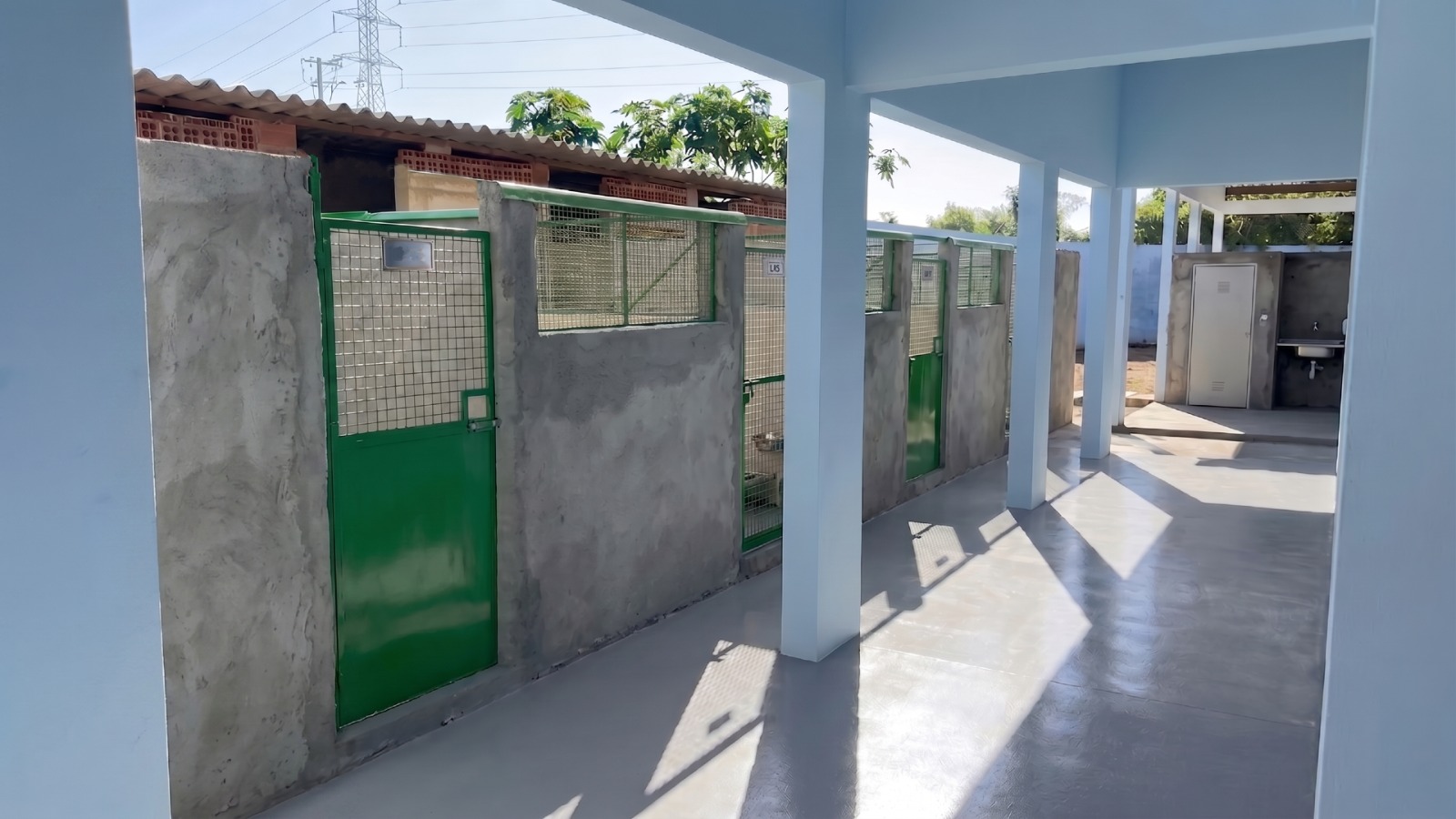 Projeto Canil Gaiola Aberta